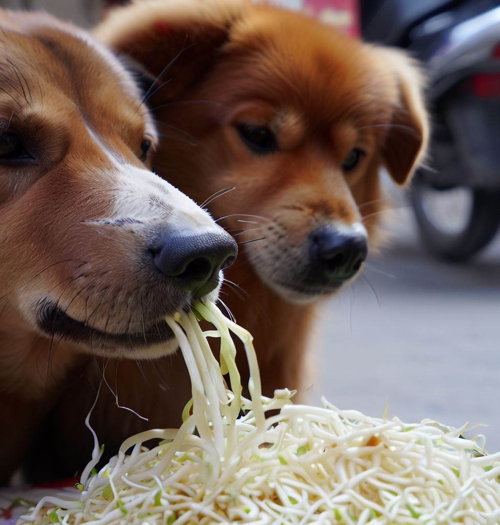 Benefits of Feeding Bean Sprouts to Dogs