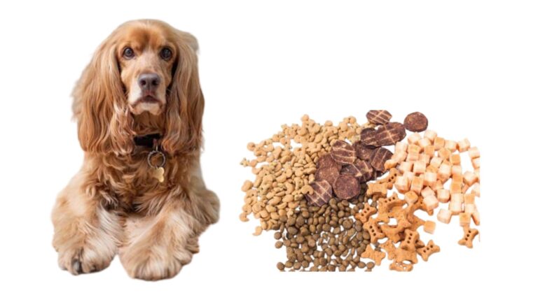 Commercial Dog Food Diet