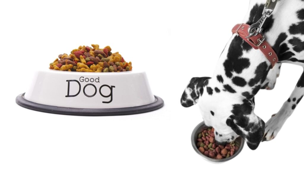 commercial dog food diet plan