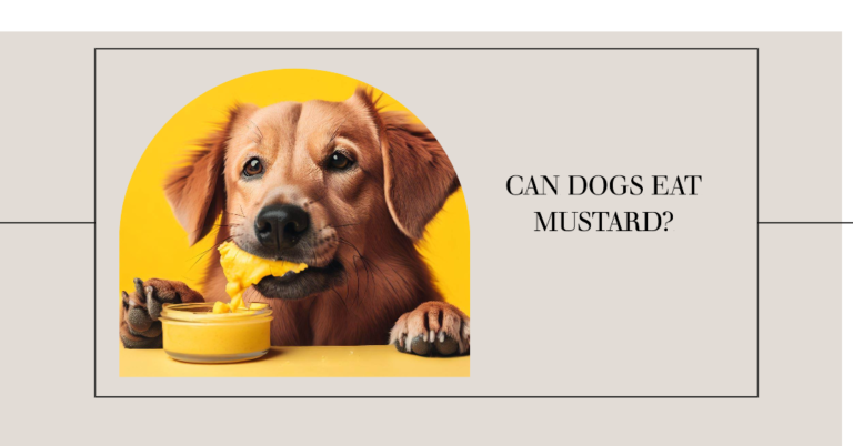 Can Dogs Eat Mustard